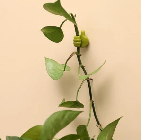 Plant stem holder 💚 - Picture 7 of 7